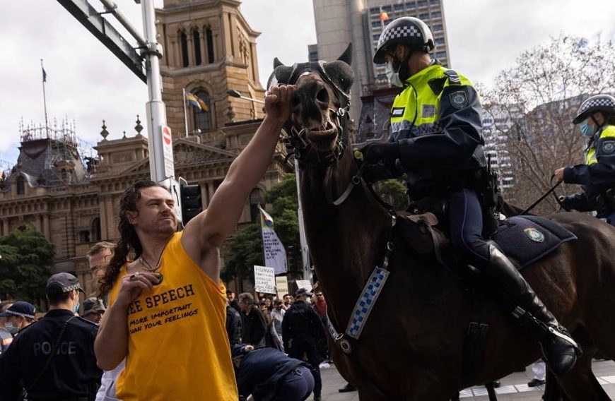 WATCH: Police Accused of “Fake News” After Video Emerges of Man “Punching” Horse