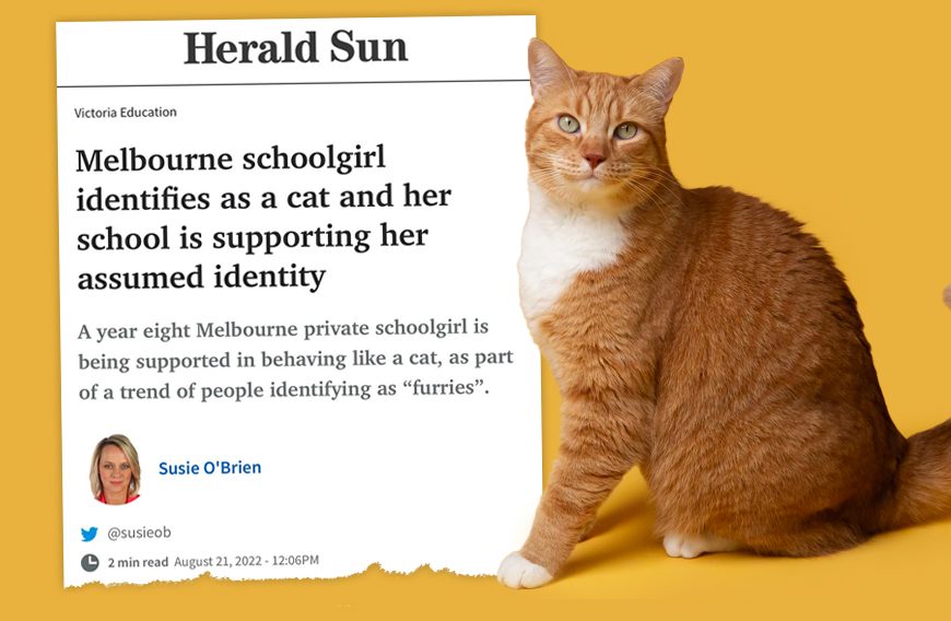 School Affirms Student’s ‘Trans Cat’ Identity