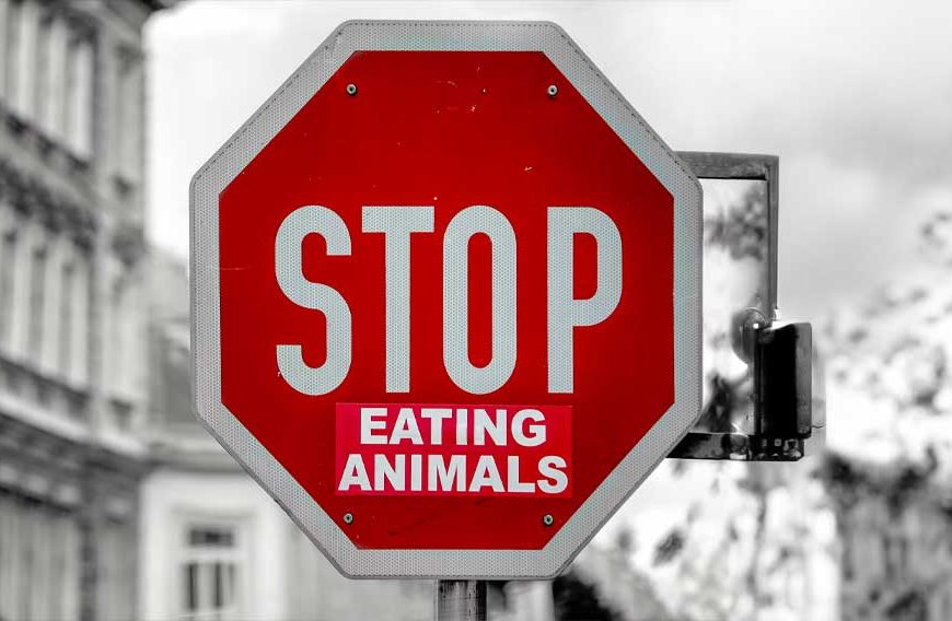 Why Do the Globalists Want to Stop Us Eating Meat?