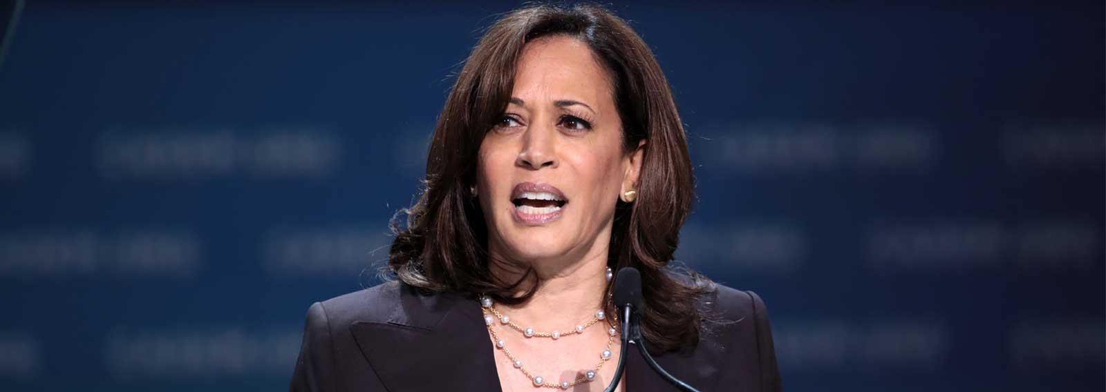 It Will Be Real Bad News if Team Kamala Gets In