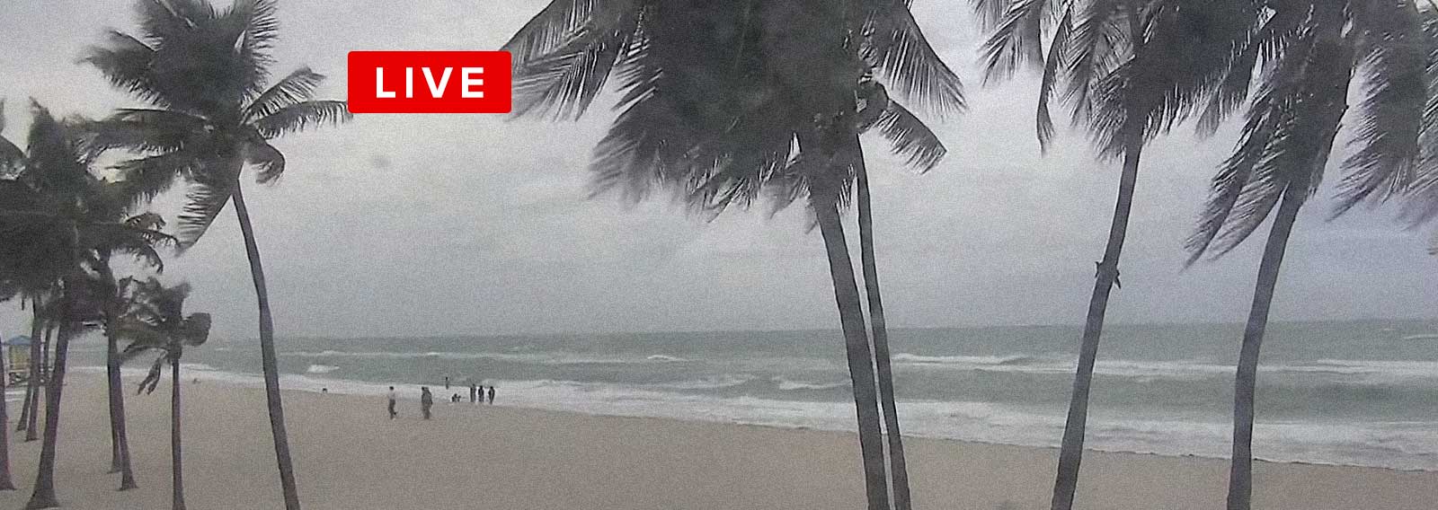 WATCH: Live Cams Show Hurricane Milton's Approach as Floridians Brace for Destructive Winds and Flooding