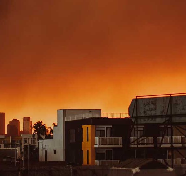 Mismanagement and Misplaced Priorities Have Fueled the LA Fire