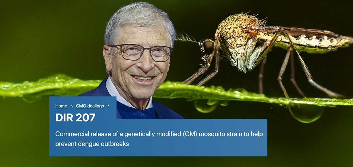 Bill Gates-Backed Firm Seeks Approval for Genetically Modified Mosquito Release in Australia