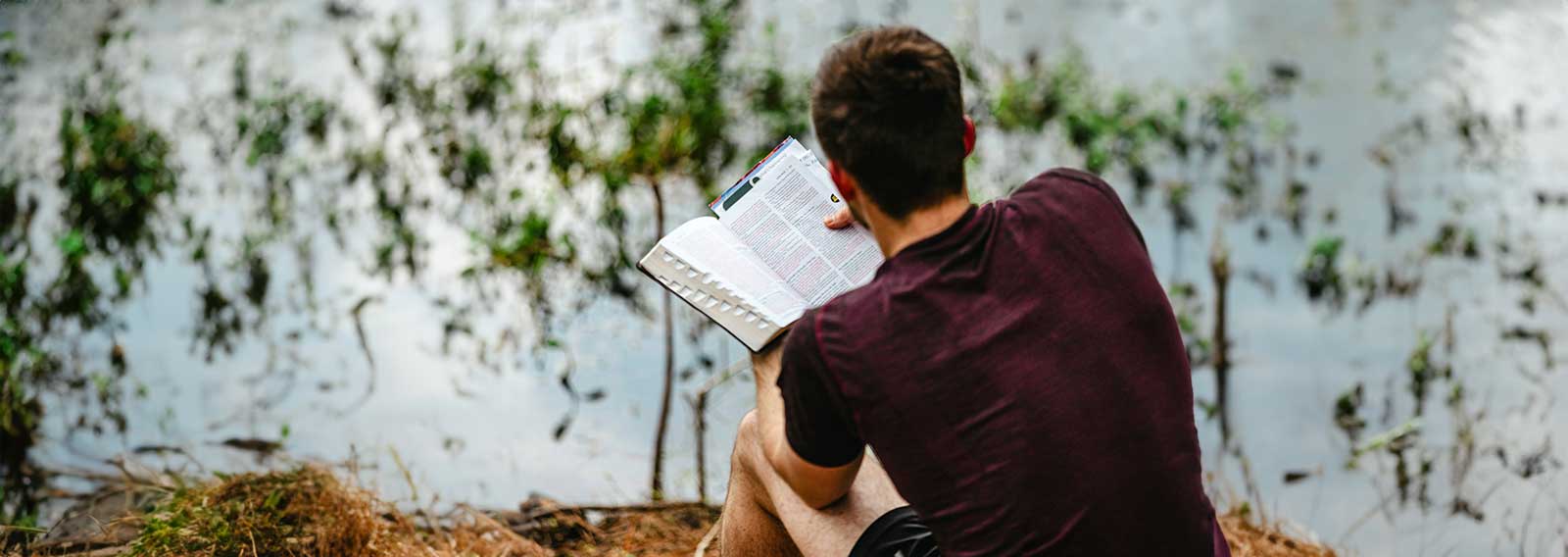 Bible Sales Surge Continues in 2025 Amid Renewed Interest in Christianity